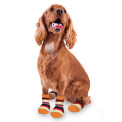 Karlie Non-slip warm socks 1 pair Size XS for dogs Boot and sock