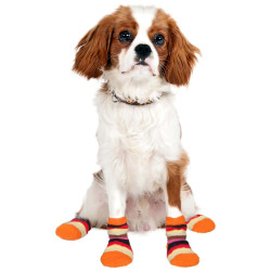 Calze antiscivolo per cani per 4 Doggy Socks