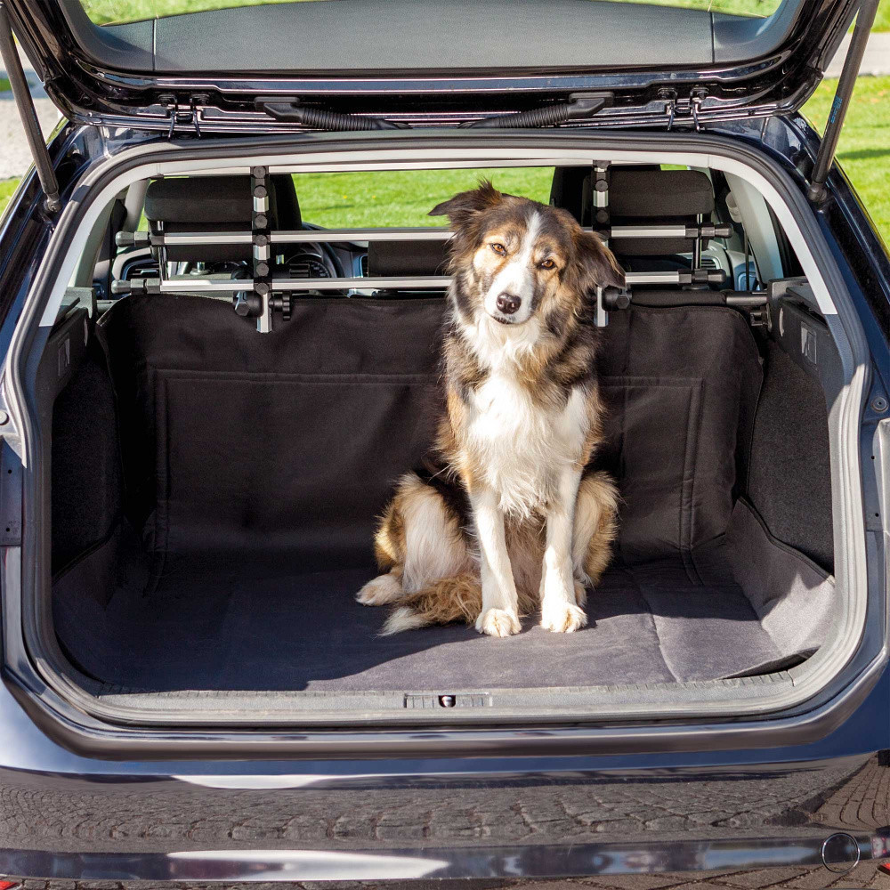 car dog safety net