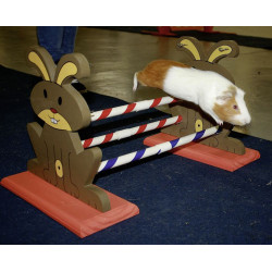 kerbl Obstacle Agility Kaninhop, pour rongeurs et lapins, taille: 62 cm par 33 cm et 34 cm Jeux, jouets, activités