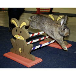 Obstacle Agility Kaninhop, pour rongeurs et lapins, taille: 62 cm par 33 cm et 34 cm KE-82855 Jogos, brinquedos, actividades