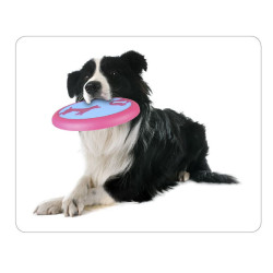 Frisbee AMELIA ø 22 cm . jouet pour chien FL-519568 Flamingo