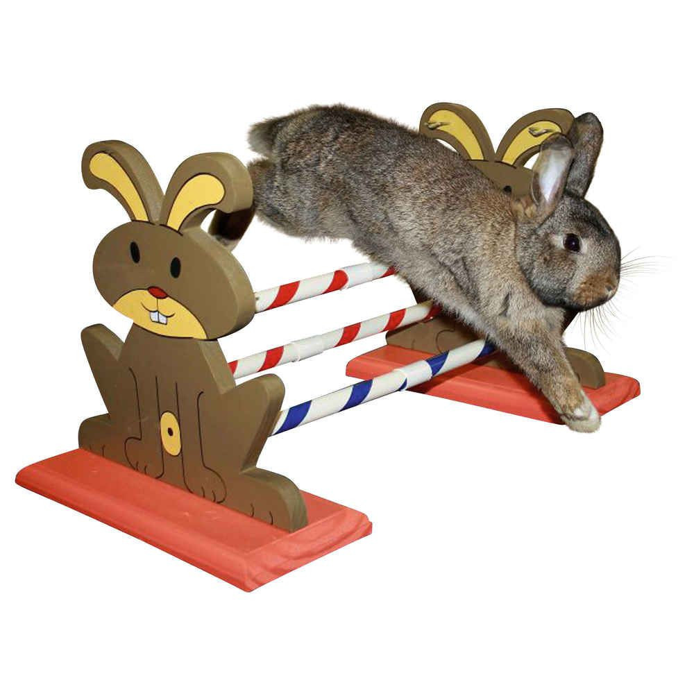 kerbl Agility Kaninhop Hindernis, für Nagetiere und Kaninchen, Größe: 62 cm x 33 cm und 34 cm KE-82855 Spiele, Spielzeug, Akt...