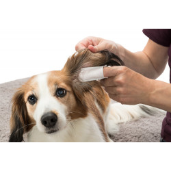 TR-29392 Trixie Dedos para el cuidado de los oídos. para animales .50 piezas Cuidado de las orejas del perro