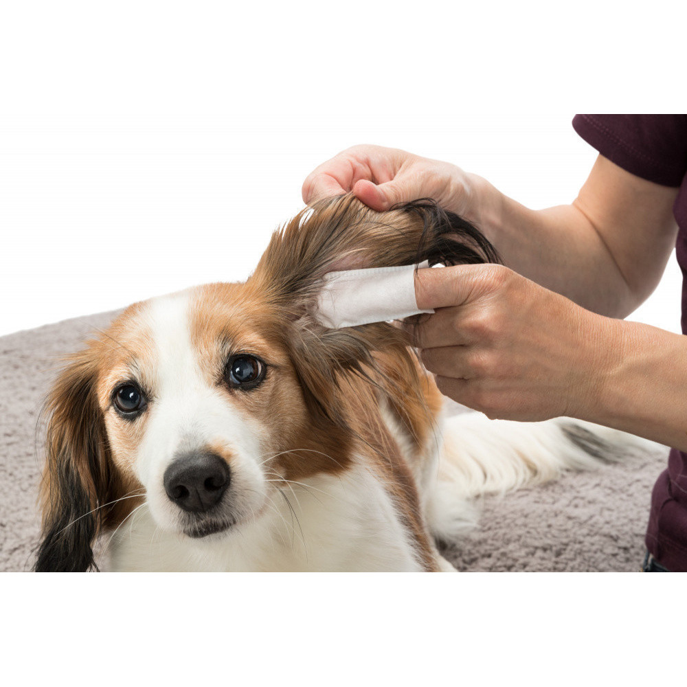 Trixie Doigtiers de soin pour les oreilles pour animaux 50 pieces Soins des oreilles pour chien