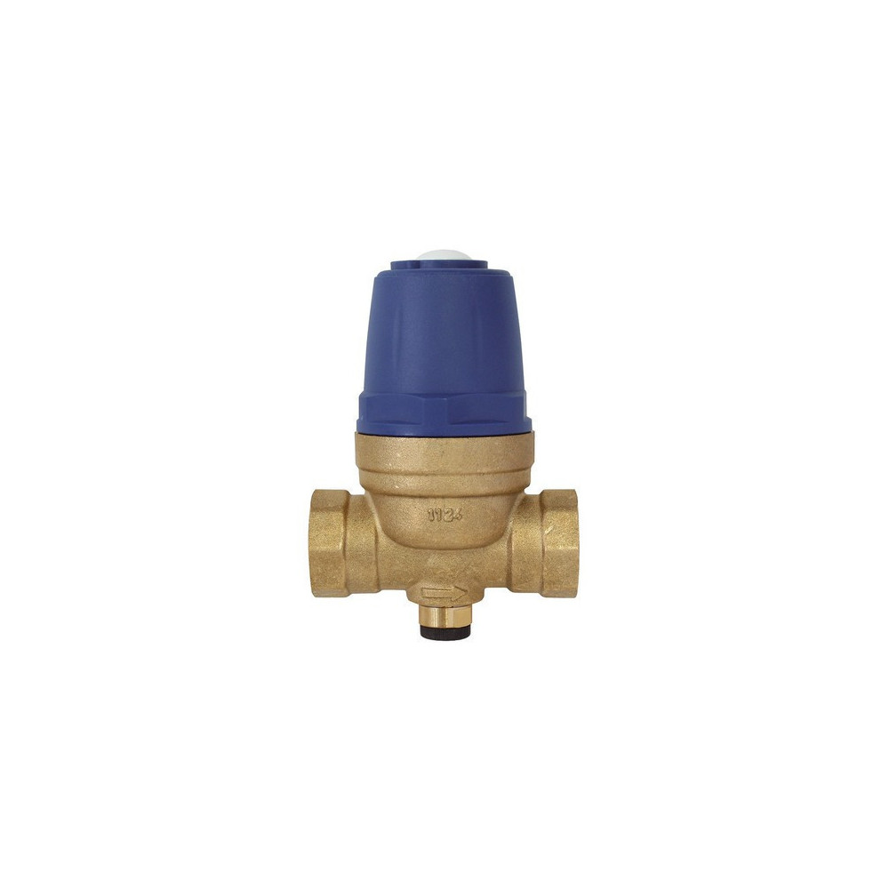Interplast diaphragm pressure reducing valve - 3/4 inch Plumbing