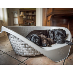 Rattan-look mandje 75 x 55 x 26 cm H voor honden Nido assortiment. lichtgrijze kleur Bama FL-517631 Plastic hondenbed