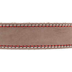 Trixie Collier cuir S 31-37 cm/15 mm taupe pour chien Collier