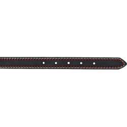 Trixie Leder Kragen. Größe M. Farbe anthrazit. Größe: 36-43 cm/20 mm. für Hunde TR-17916 Halsband