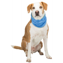 Trixie Bandana rafraîchissant XL : 47-57 cm bleu pour chien Rafraichissant