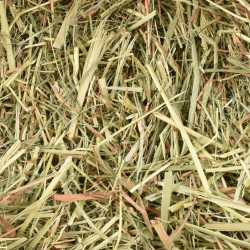 Flamingo Premium natural meadow hay 2 kg or 60 liters for rodents Rodent hay