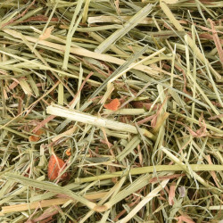 Flamingo Premium meadow hay with carrot 1 kg or 30 liters for rodents Rodent hay