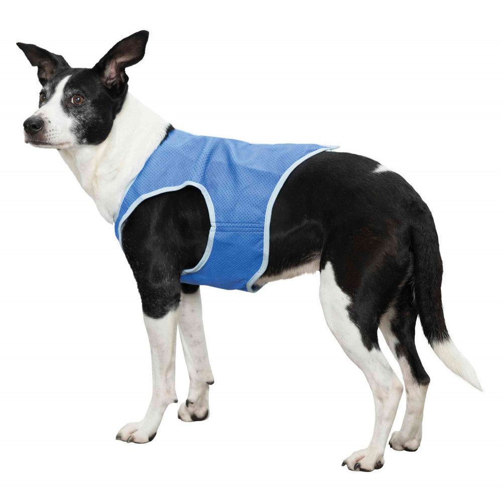 Trixie Veste rafraîchissante taille XL pour chien Rafraichissant