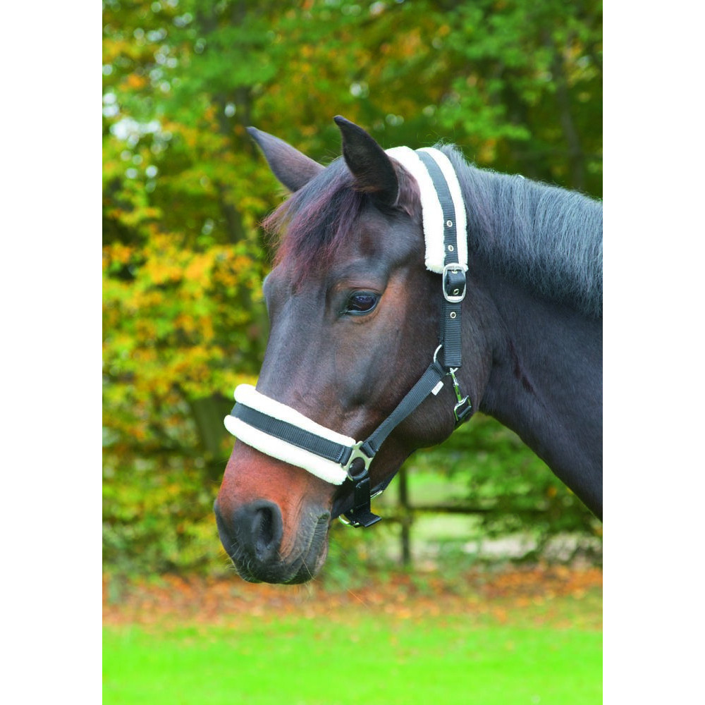 kerbl Licol avec fourrure amovible noir pour chevaux taille full soins chevaux