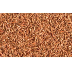 Tetra Dried shrimps 250ml/20g Reptodelica for water turtles Food