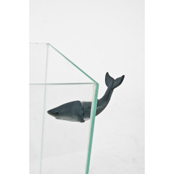 zolux Magnetic shark decoration composed of parts for aquariums Decoration and other