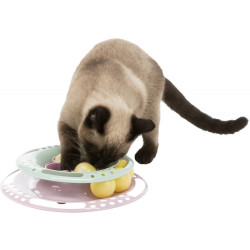Trixie Jeux pour chat Junior Kitten Circle, taille ø 24 cm Jeux