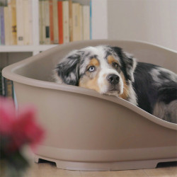 Plastic Sleepper basket 1. 56 x 42 cm lichtroze. voor hond. Stefanplast TR-38816 Plastic hondenbed
