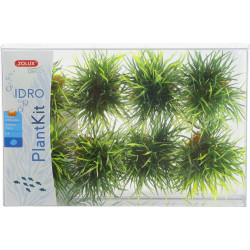 zolux 8 kleine Büsche deco plant kit idro Höhe 3 cm ø 3.5 cm für Aquarium ZO-352170 Plante
