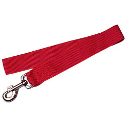 zolux Nylon-Leine XL. Länge 60 cm. rote Farbe. Leine für Hunde ZO-463624R hundeleine