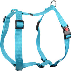 Harnas H Ziggi turquoise halsband 70 -110 cm 25 MM maat XXL+. voor honden. Flamingo FL-519883 hondentuig
