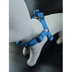 Jannu Blue Harness rozmiar XL 60-90 cm 25 mm dla psów FL-516943 Flamingo