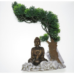 zolux Bonsai Buddha diffuser. 14.5 x 12 x 20 cm. aquarium decoration Statue