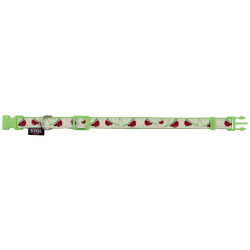 Verstelbare halsband van 22 tot 33 cm, glow-in-the-dark kleur met riem. kat, puppy Trixie TR-15372 halsband en riem