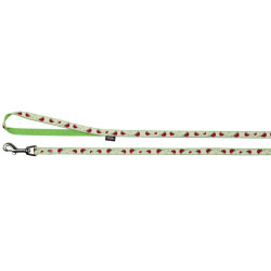 Verstelbare halsband van 22 tot 33 cm, glow-in-the-dark kleur met riem. kat, puppy Trixie TR-15372 halsband en riem