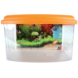 zolux Aqua travel box II, Small, dimensioni 22 x 16 x H 14 cm. per pesci. colore casuale. ZO-303037 Acquari