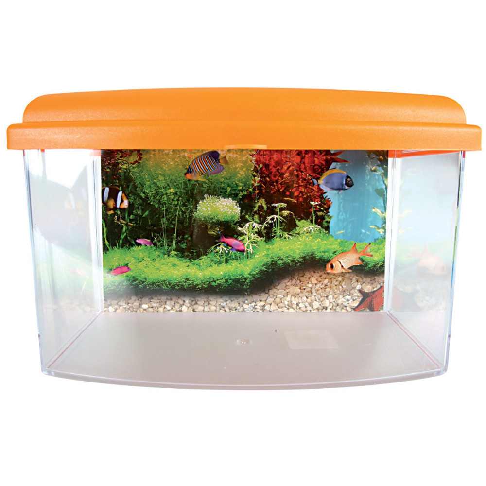 zolux Aqua travel box II, Small, taille 22 x 16 x H 14 cm pour poisson couleur aléatoire Aquariums