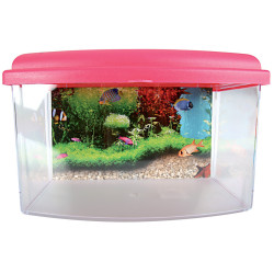 zolux Aqua travel box II, Small, taille 22 x 16 x H 14 cm pour poisson couleur aléatoire Aquariums
