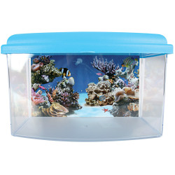 zolux Aqua travel box II, Small, size 22 x 16 x H 14 cm. for fish. random color. Aquariums