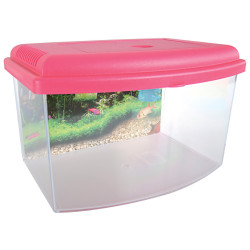 zolux Aqua-Reisebox II, Small, Größe 22 x 16 x H 14 cm. für Fische. zufällige Farbe. ZO-303037 Aquarien