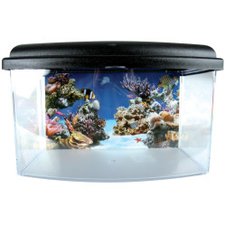 zolux Aqua-Reisebox II, Medium, Größe 28 x 20 x H 17 cm, für Fische. zufällige Farbe. ZO-303038 Aquarien