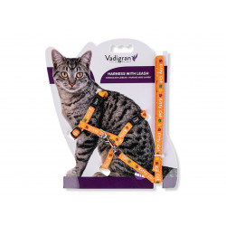 Vadigran Harness with leash 1.20m. KITTY CAT orange. for kitten. Harnais