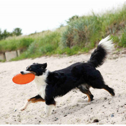 Trixie Frisbee. Dog Disc, TPR, flottant pour chiens. ø 22 cm. Coloris: aléatoires. Jouet pour chien