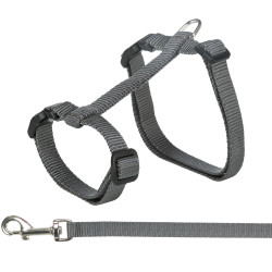 Trixie XL Harness with leash for big cats. random color. Harness