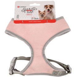 Klein hondentuig roze M, nek 35 cm, lichaam verstelbaar van 37 tot 50 cm voor honden Flamingo Pet Products FL-520005 hondentuig