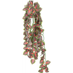 TR-76245 Trixie Planta de tela para colgar, Folium Perillae, para reptiles. 50 cm. Decoración y otros