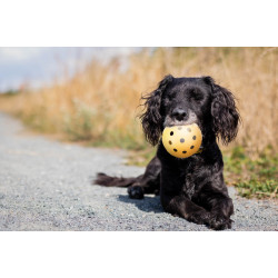 Trixie Ball mit Löchern 7 cm , speziell für sehbehinderte und blinde Hunde TR-3332 Hundespielzeug