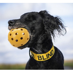 Bola com orifícios de 7 cm, especial para cães com deficiência visual e cegos TR-3332 Brinquedo de cão