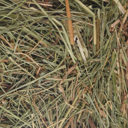 Flamingo Pet Products Mountain hay with nettles 500 g for rodents Rodent hay