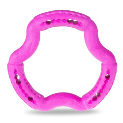 Vadigran Strawberry pink TPR ring 21 cm. for dogs. Games has reward candy