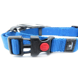 Colar Ziggi azul 30 -45 cm. 15 MM . tamanho S . para cão. FL-519892 Colarinho de nylon