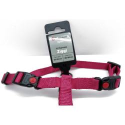 Harnas H Ziggi kersenrode halsband 35 -50 cm 15 MM maat S/M voor honden Flamingo FL-519924 hondentuig