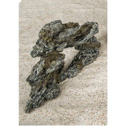 Vadigran Fossilized wood 34 x 10 x16 cm . aquarium decoration. Roché pierre