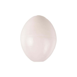 animallparadise 5 Eier für Wellensittiche, ø 1.8 cm künstlich aus Kunststoff AP-110212-x5 Faux oeuf
