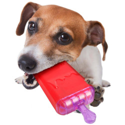 FL-518865 Flamingo LOLLY TPR 16 cm juguete refrescante para perros Juguetes para masticar para perros