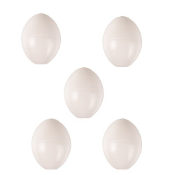 5 Ovos para periquitos, ø 1,8 cm de plástico artificial AP-110212-x5 Faux oeuf